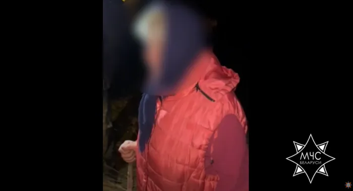 Спасатели нашли пенсионерку, заблудившуюся в лесу в Светлогорском районе